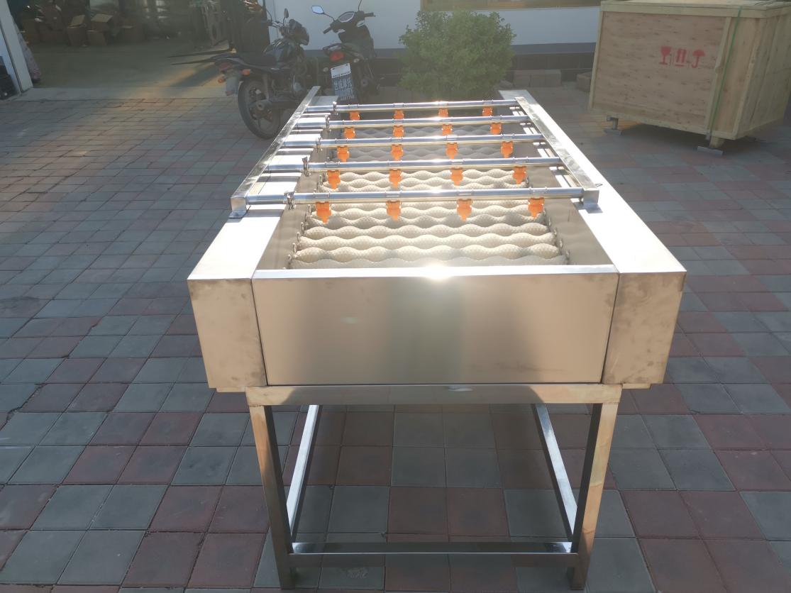 Parallel brush roller washing machine