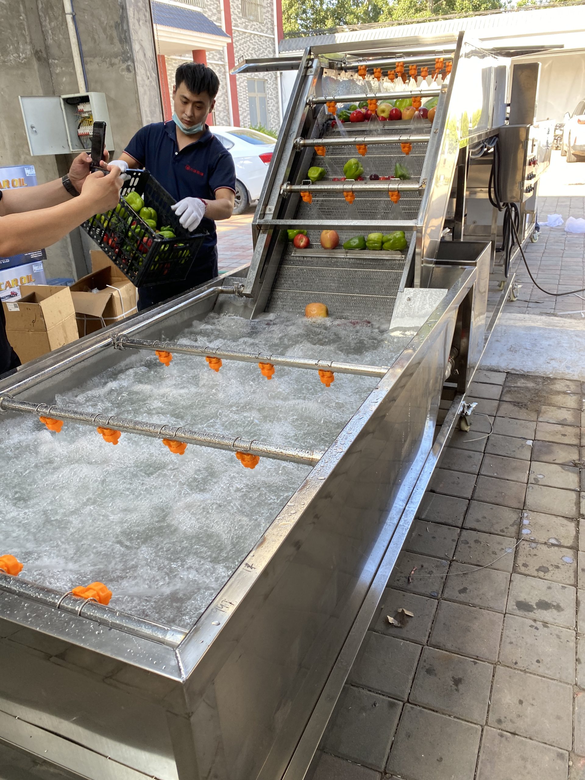 Apricot Prune Washing Elevator
