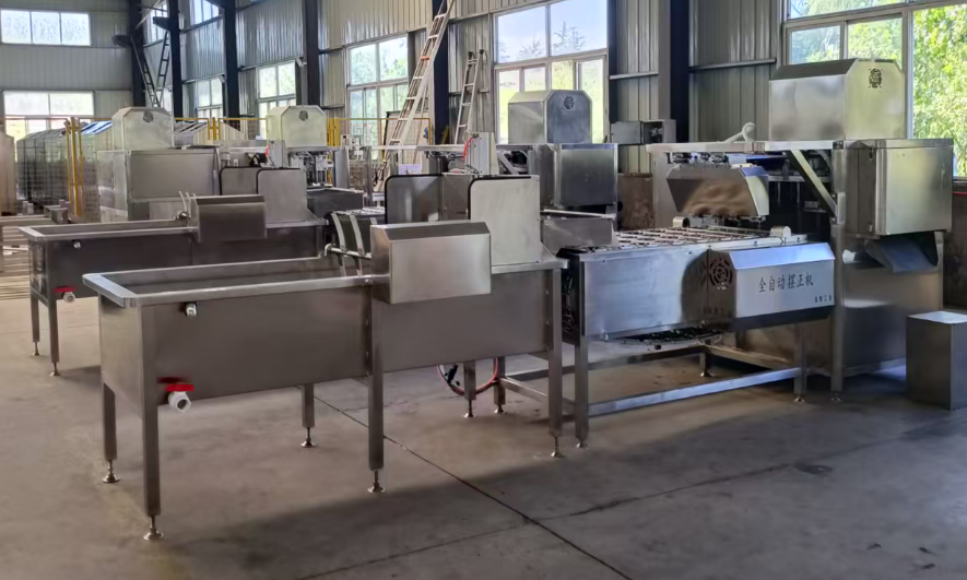 Four-row Automatic Apple Peeling Machine