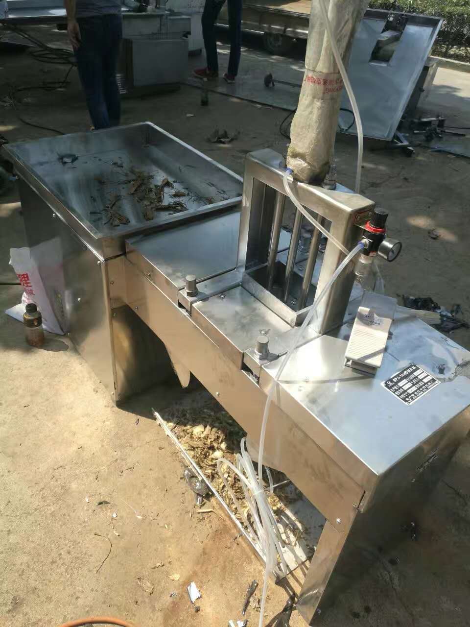 Gastrodia Slicing Machine