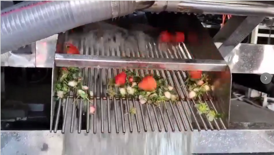 Intelligent Strawberry Destemming and Washing Machine