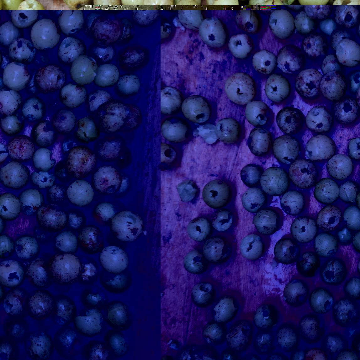 Small Semi-automatic Amla Pitting Machine