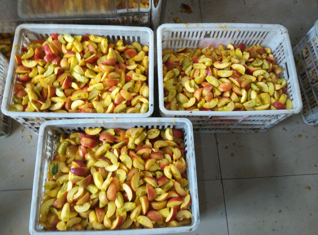 Track Type Semi-automatic Green Plum Pitting and Segment Cutting Integrated Machine